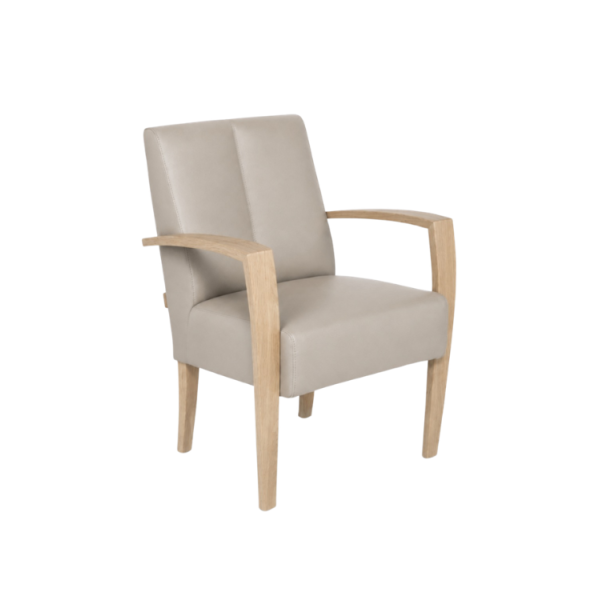 Dina bijzetfauteuil 